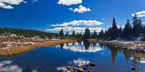 Parcul Yellowstone din SUA. shutter