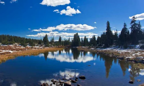 Parcul Yellowstone din SUA. shutter