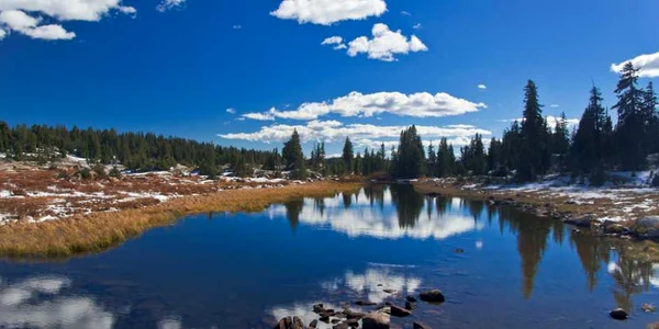 Parcul Yellowstone din SUA. shutter