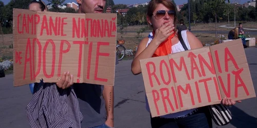 protest maidanezi