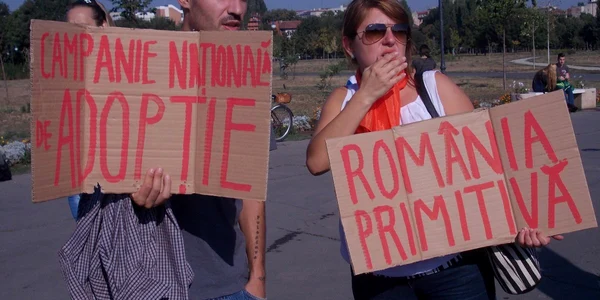 protest maidanezi
