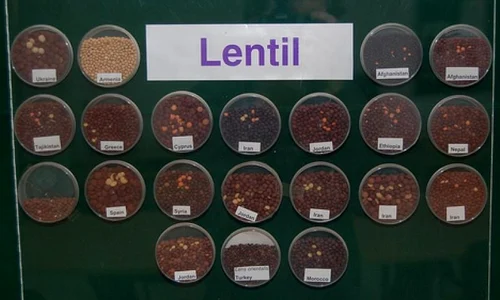 S a deschis buncărul unde se află ascunsă rezerva mondială de seminţe jpeg