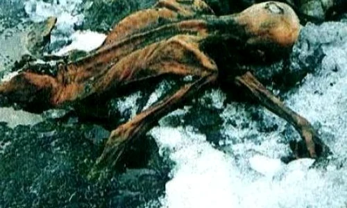 S a descoperit cum arăta Ötzi, omul zăpezilor jpeg