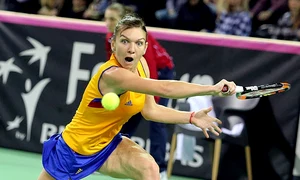 halep simona fedcup romania cehia amr 1057 jpeg