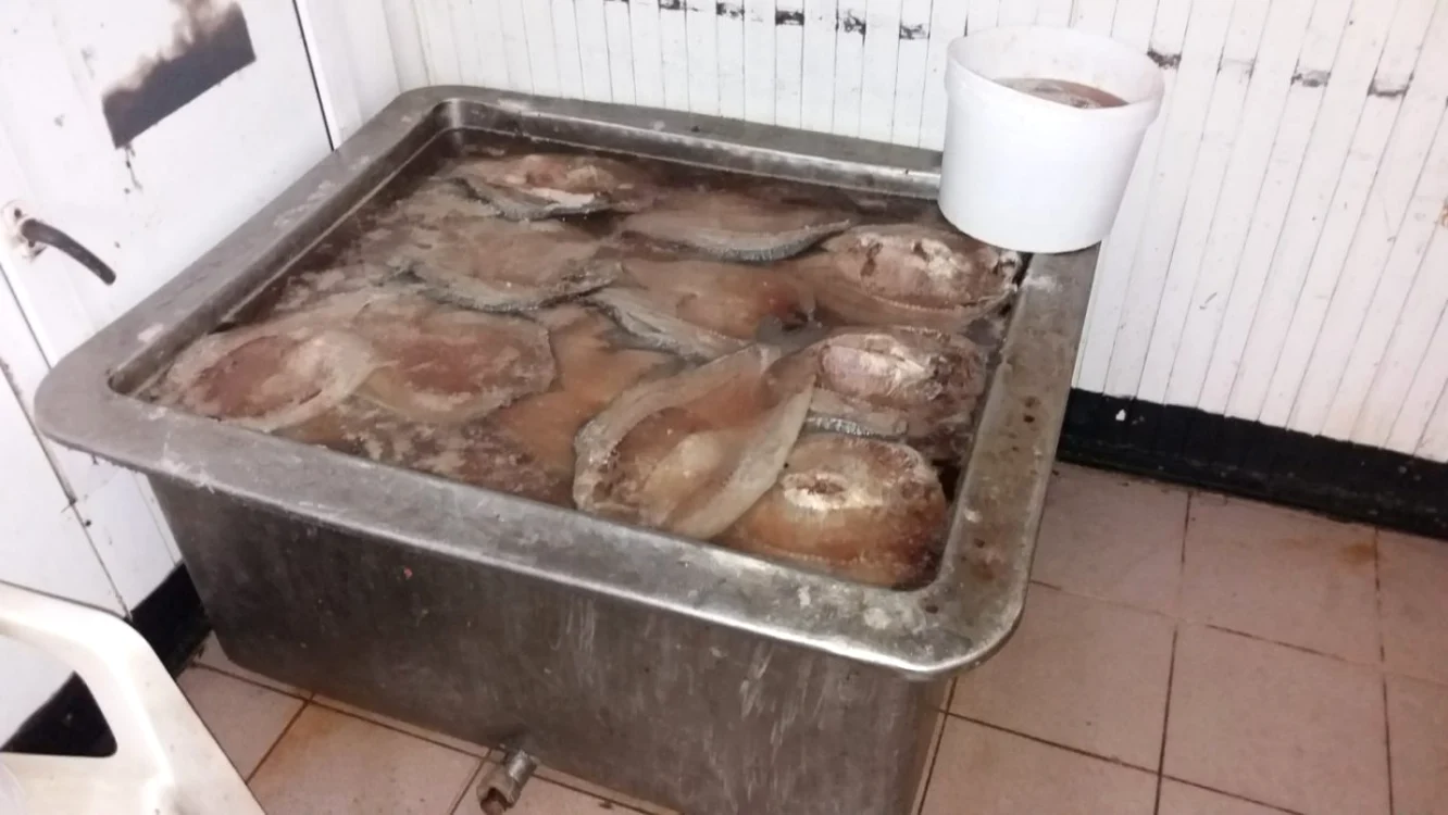 Peşte braconat in Italia şi Spania Foto