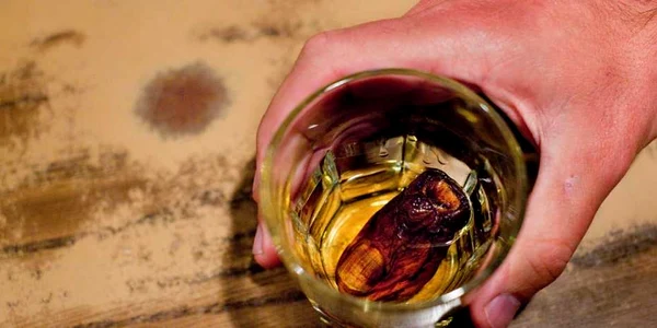 deget mumificat cocktail canada