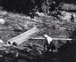 retezat 1963 foto viorel simionescu