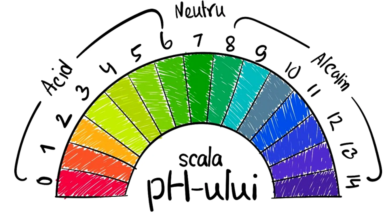 ph 