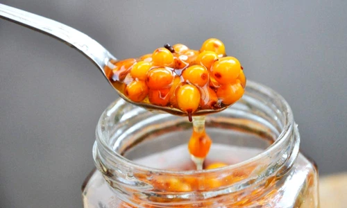 1 sirop de catina jpg jpeg