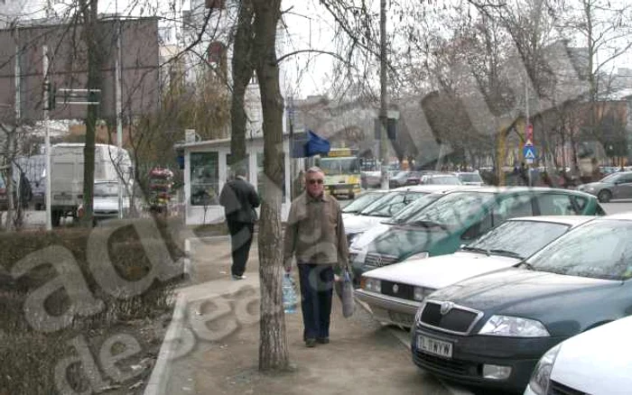 Salcâmul a apărut în mijlocul trotuarului în urma cu câteva luni