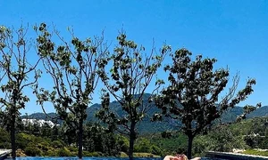 britney sexy la piscina jpeg