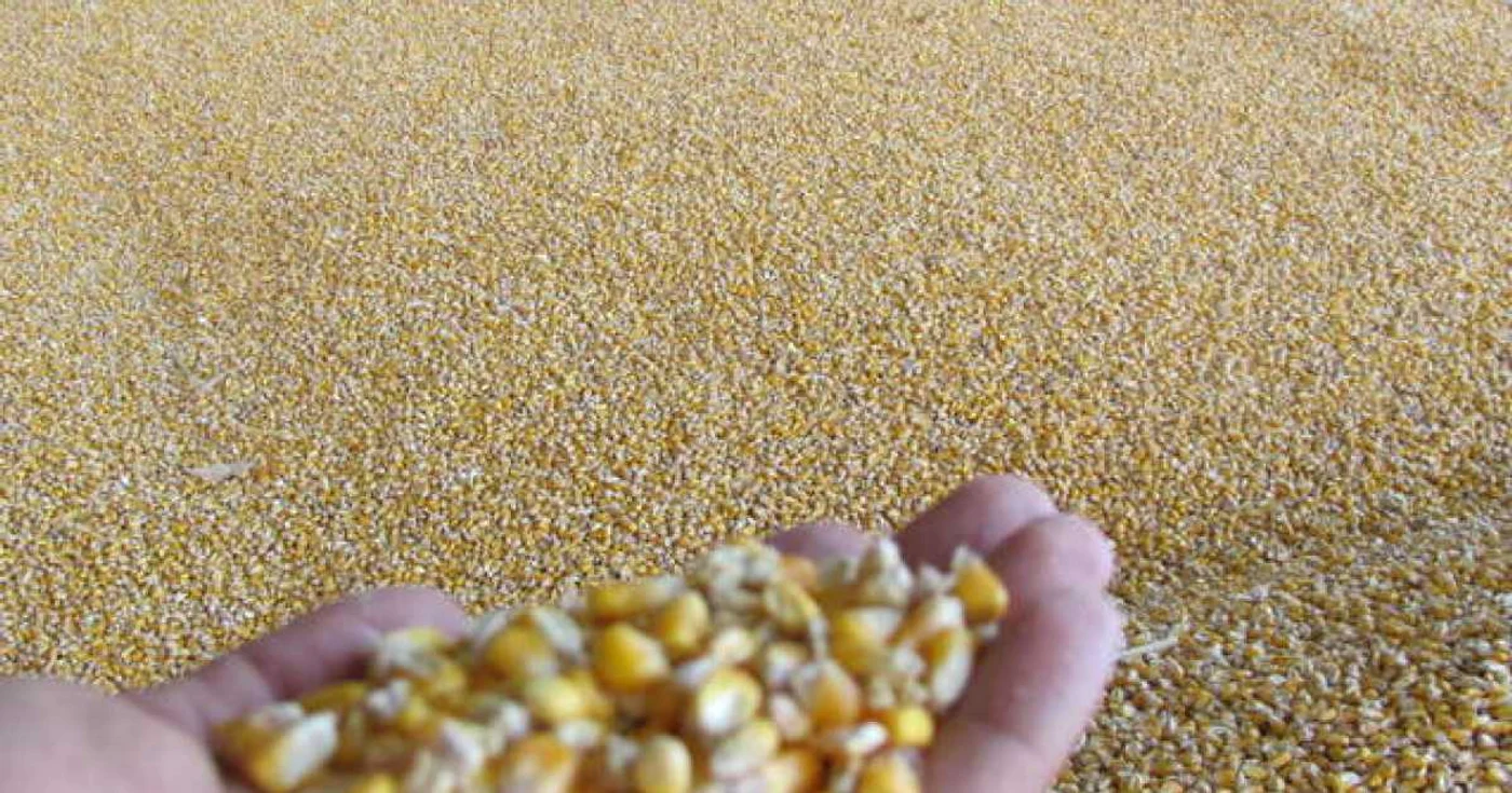 Producătorii agricoli, sprijiniţi cu finanţări nerambursabile Foto:Arhivă Adevărul