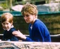Prințesa Diana cu Prințul Harry
