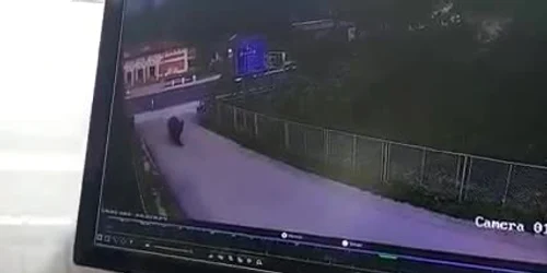 628ca9d15163ec4271c23400 jpg