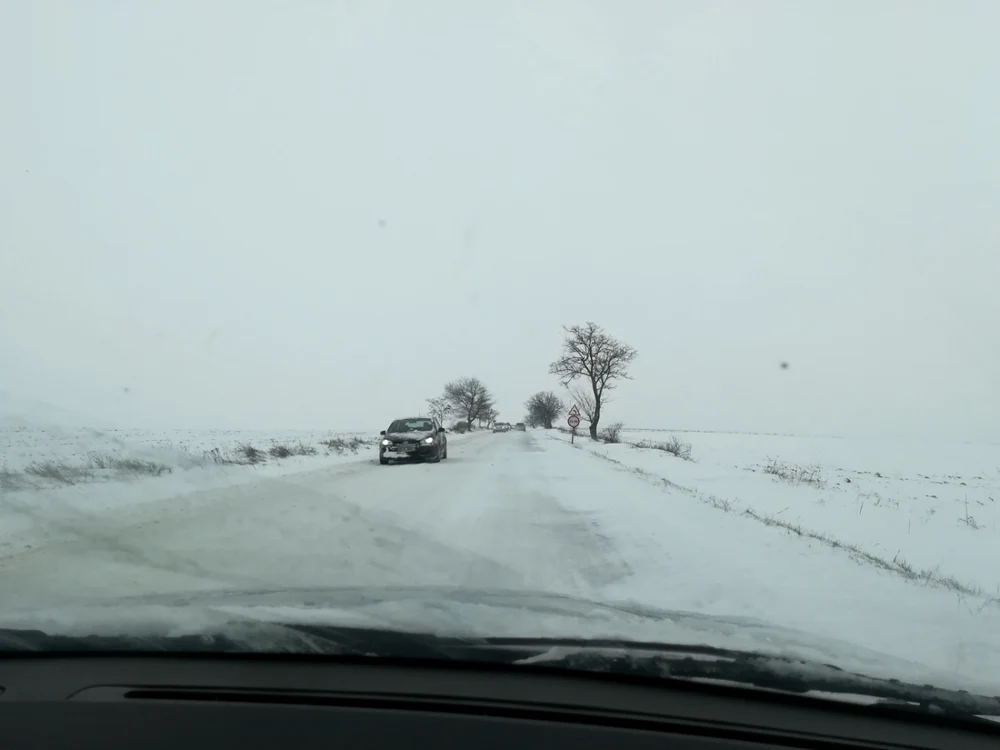 botosani zapada
