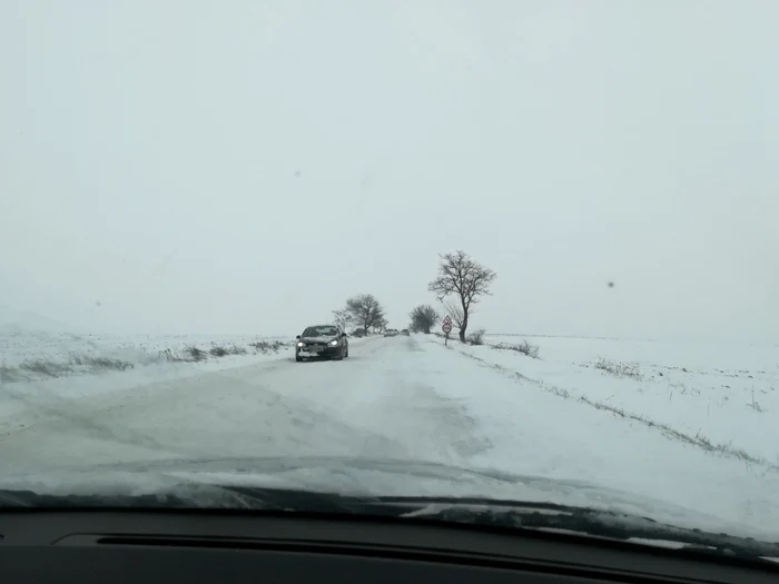botosani zapada