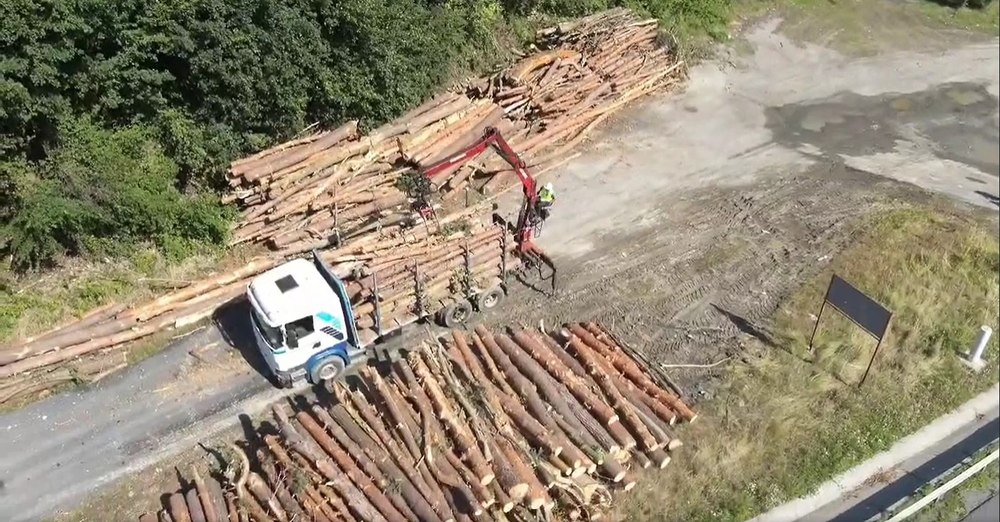 Ziua 5 de defrișări pentru viitoarea autostradă Sibiu - Pitești: unde va ajunge lemnul din aceste zone VIDEO