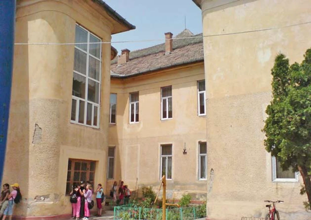 
    Profesoara de germană  spune că a fost provocată  de elevii Liceului  Teoretic din Periam  