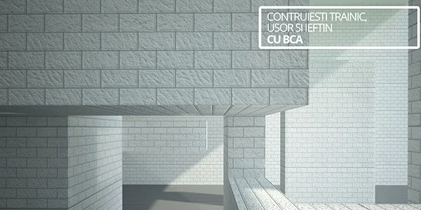 probca construieste trainic
