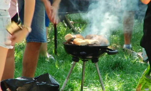 1 1 mai la padurea verde 1 mai 2018 still003 jpg jpeg