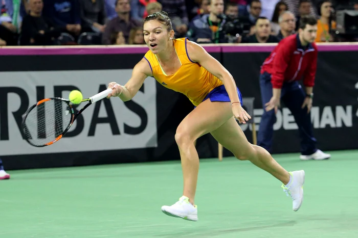 Simona Halep  a adus un punct  contra Cehiei 