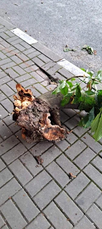 Urmările furtunii din 4 iulie 2022 din Râmnicu Vâlcea Foto Vâlcea Verde