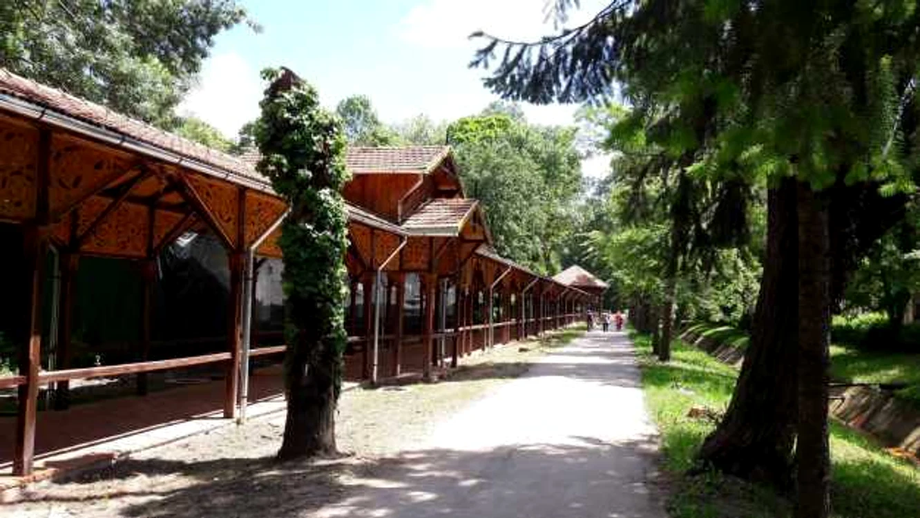 Restaurarea Colonadei de la Buziaş