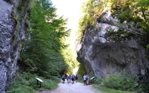 baa3c08bbd7d00af277ecfc96a737c90 jpg jpeg