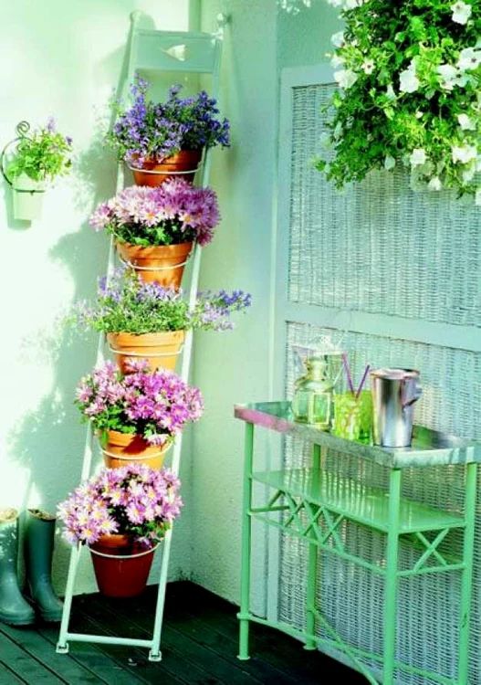 Cele mai frumoase flori de balcon