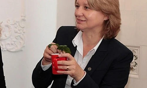 planta de cafea   pasaport in lumea nescafe 0 jpeg