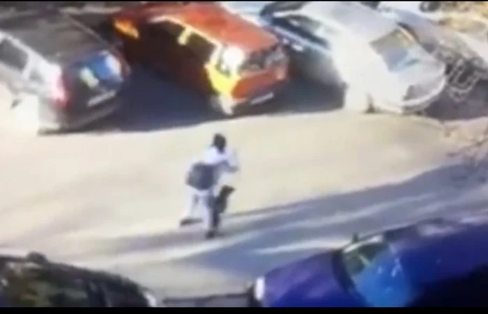 Câinele era mai tot timpul agresat Foto: replicaonline.ro