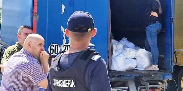 voturi saci tg jiu jpeg