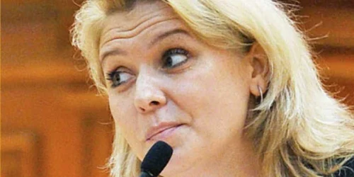 Roberta Anastase consideră că mamele ar trebui să se întoarcă la muncă după şase luni de la naştere