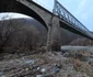 Podul peste Olt valea Fratelui  Foto Daniel Guță ADEVĂRUL   (7) jpg
