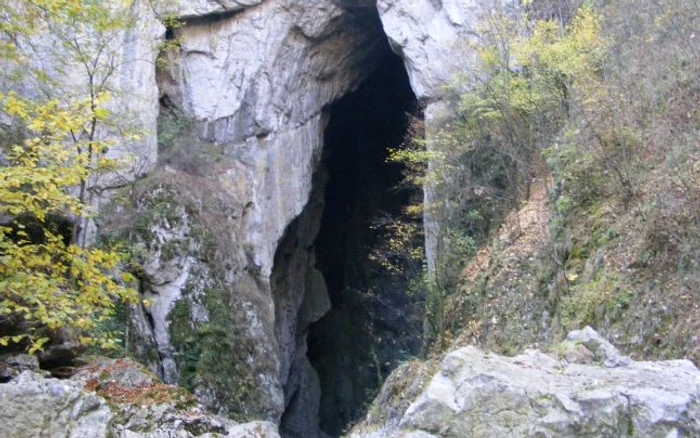 peştera Topolniţa, monument al naturii