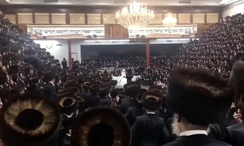 1 pjimage 10 jpg jpeg