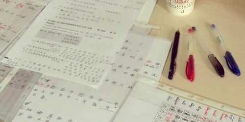 Alexandru Colţea studiu chineza Beijing FOTO alexcoltea.com