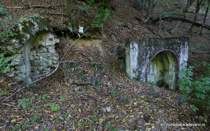 Ruine ale minelor de la Ruda. Foto: Daniel Guță