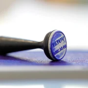 Cristian și Vlad Popescu Piedone au votat. FOTO Inquam Photos / Octav Ganea