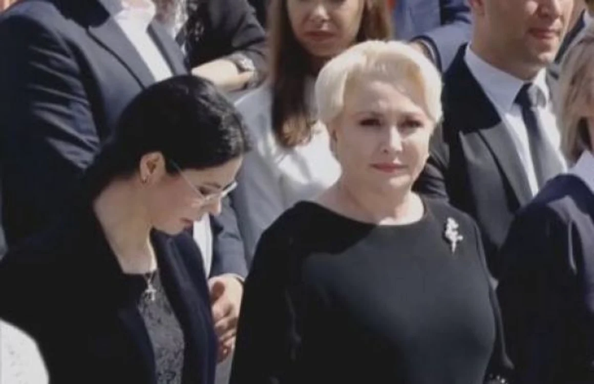 dancila alba