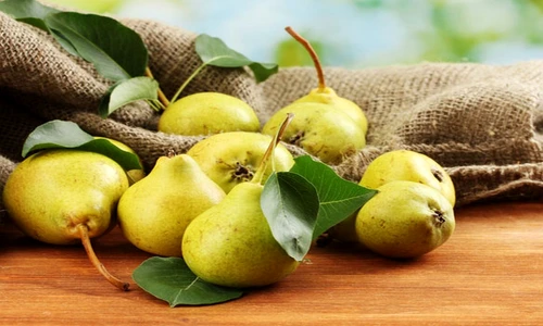 1 81344 original jpg jpeg