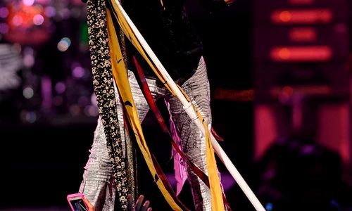 steven tyler jpeg
