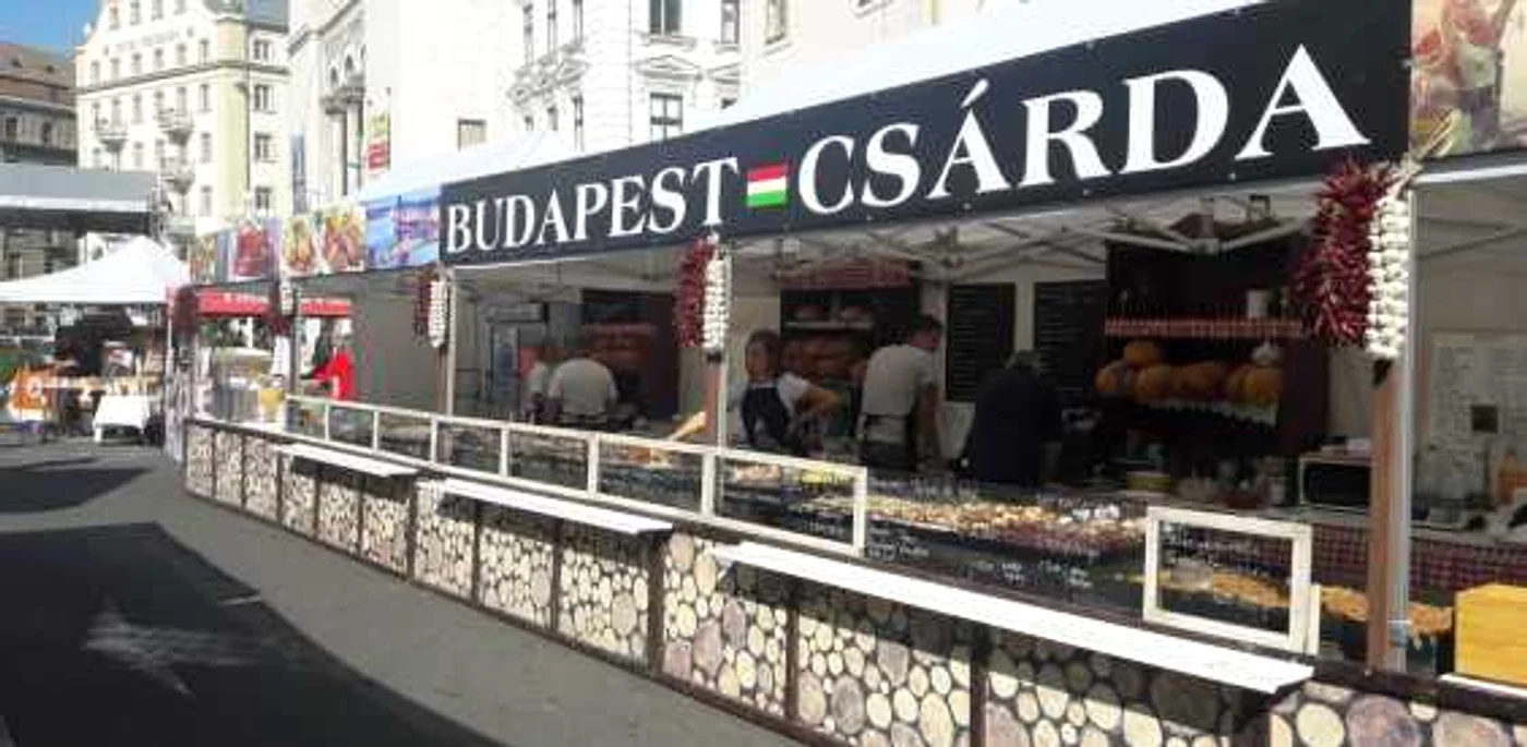 Au început Zilele Maghiare din Timişoara