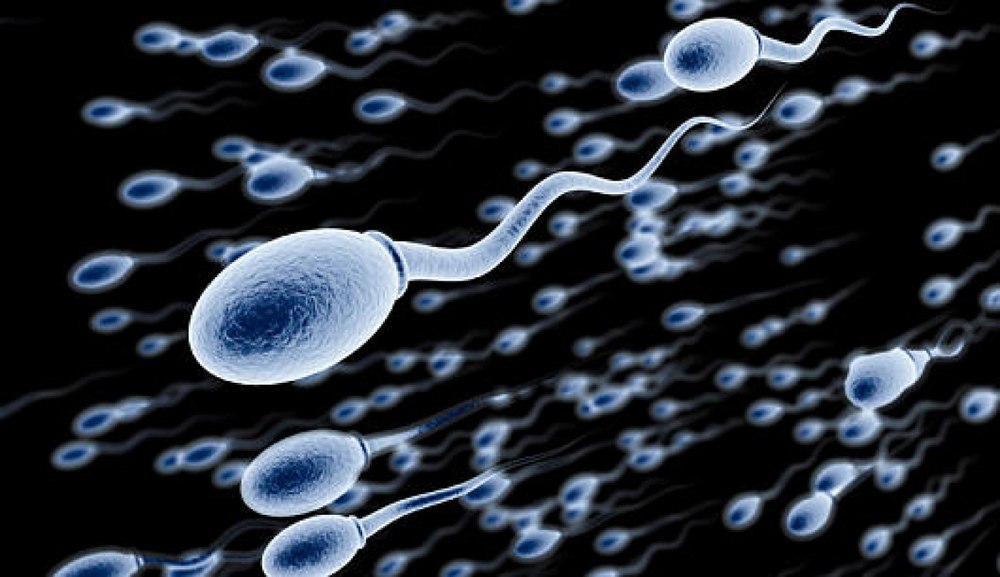 Studiu îngrijorător: pesticidele din alimente reduc numărul de spermatozoizi 
