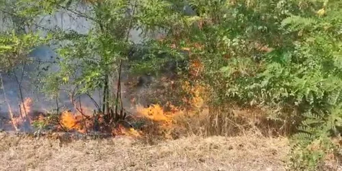 Incendiu în Vrancea