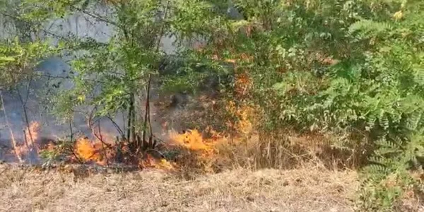 Incendiu în Vrancea