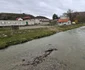 Satul Teliucu Inferior din Hunedoara Foto Daniel Guță ADEVĂRUL (27) jpg
