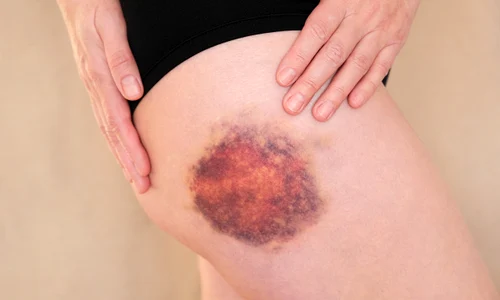 shutterstock 2124446057 jpg