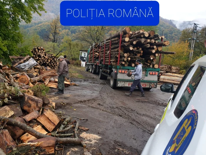 Acţiune a Poliţiei Vâlcea privind furtul de lemne din pădurile patriei Foto Adevărul - credit Poliţia Română