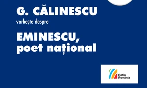 Puzzle cu Eminescu jpeg